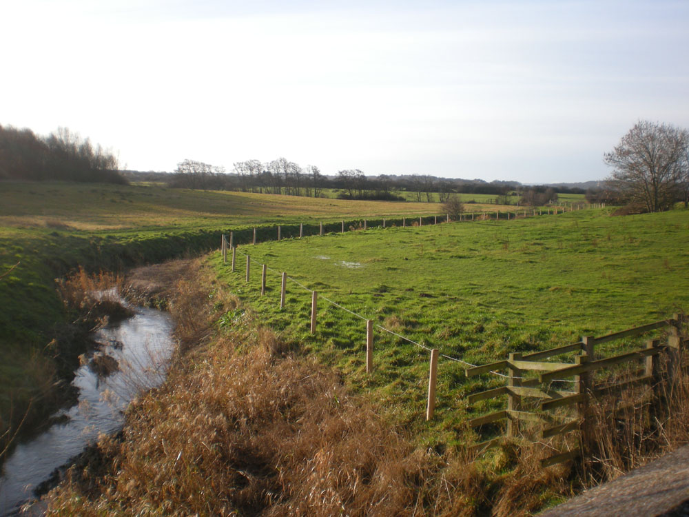 The Brook